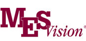 The image shows a logo with text that reads MS Vision and includes an acronym MSV, suggesting it s related to medical services, specifically vision-related services.